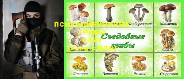 МДПВ Верея