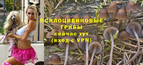 первитин Верхний Тагил