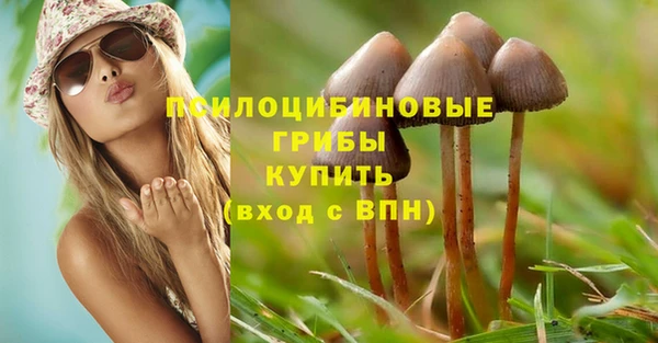 первитин Верхний Тагил