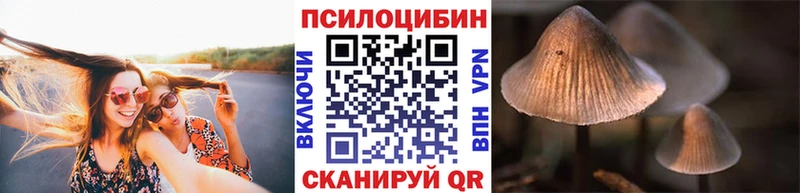 Галлюциногенные грибы Magic Shrooms  ОМГ ОМГ сайт  Пятигорск 